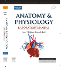 Image of Anatomy & physiology, Laboratory manual