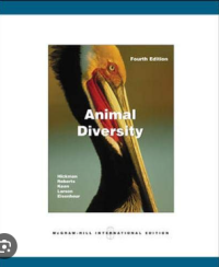 Image of Animal diversity