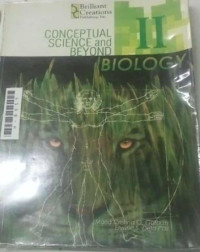 Image of Conceptual Science and beyond