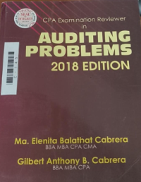 Image of CPA examiination reviewer in auditing problems
