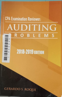 Image of CPA examination reviewer; Auditing problems