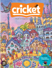 Image of Cricket : a realm of imagination and exploration