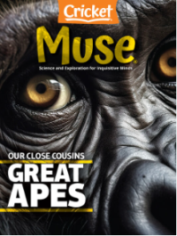 Image of Cricket muse: our close cousins great apes