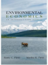 Environmental economics an introduction