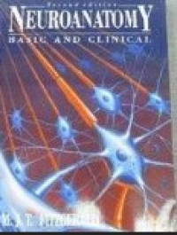 Image of Euroanatomy basic and clinical