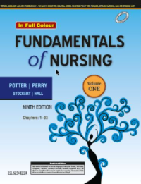 Image of Fundamentals of nursing