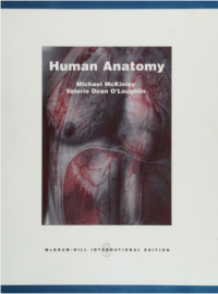 Image of Human anatomy