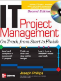 Image of IT project management