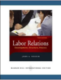 Image of Labor relations development, structure, process