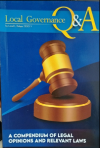 Image of Local governance Q & A