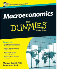 Image of Macroeconomics for dummies