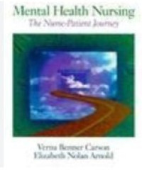 Image of Mental health nursing the nurse-patient journey