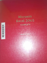 Image of Microsoft excel 2002 complete