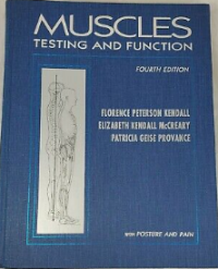 Image of Muscles, Testing and  function