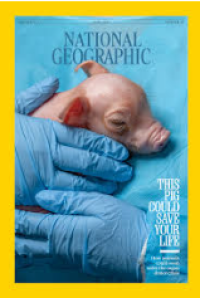 Image of National Geographic