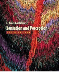 Image of Sensation and perception