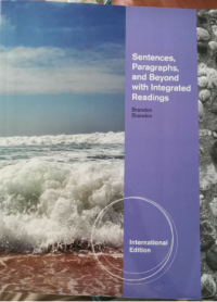 Image of Sentences, Paragraphs and Beyond with Integrated Readings