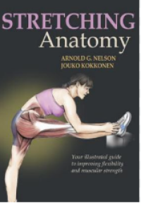 Image of Stretching anatomy