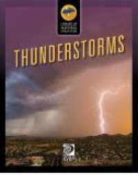 Image of Thunderstorm