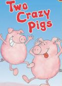 Two crazy pigs